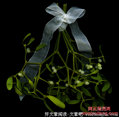 榭寄生下的男女，今晚准备好了吗？