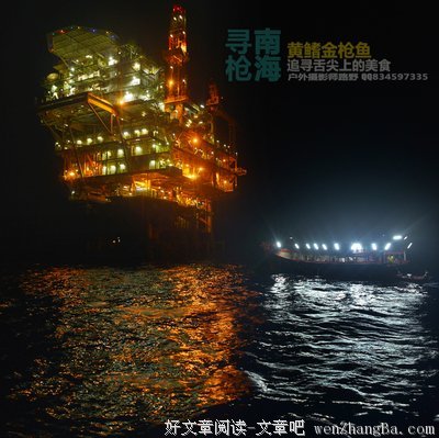 《寻枪》观后感精选10篇