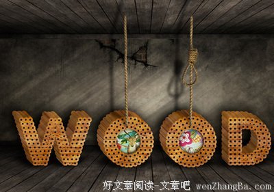 《纸年轮》的读后感10篇
