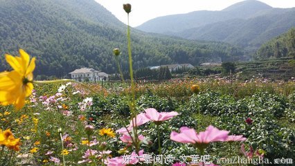 这一年，我去过的地方