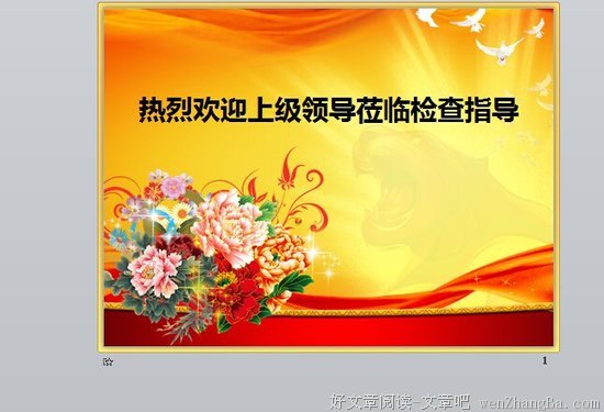 上级检查那点儿事