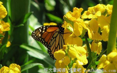 花间一壶酒读后感10篇