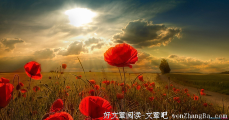 最全的《想你》经典的句子