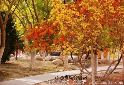 用这两点小心机，男人就会更宠你