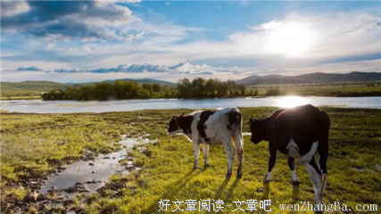 《边境》经典观后感集