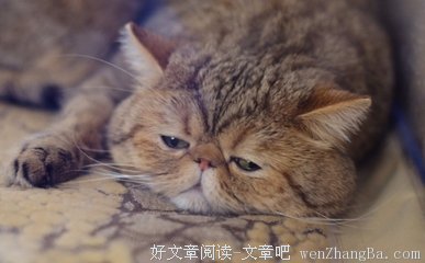 男朋友有暧昧对象，我应该怎么办？