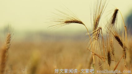 喜欢发朋友圈的，都是什么人？