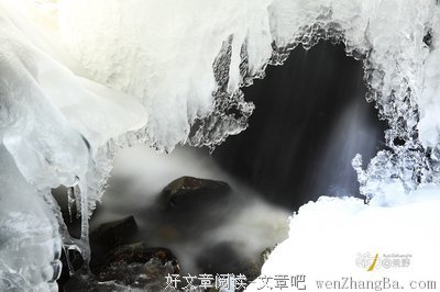 李菁 