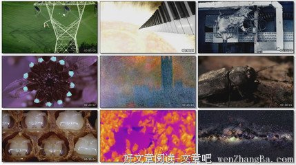 《理查德·哈蒙德：看不见的世界》观后感10篇