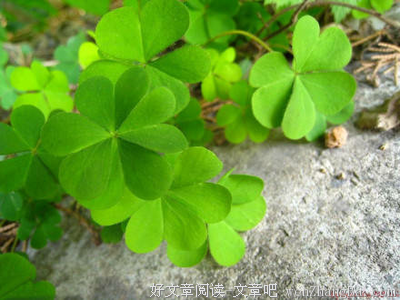 我复发的抑郁症治好了