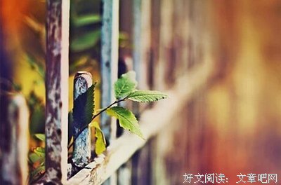 许你，在薄情的世界深情的活着