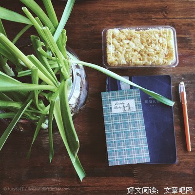 阴翳礼赞的读后感10篇