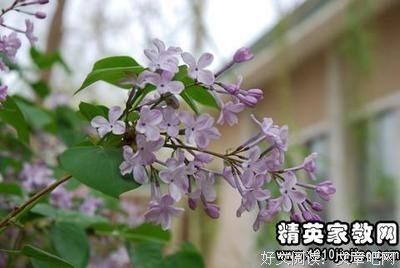 《北京法源寺》经典读后感10篇