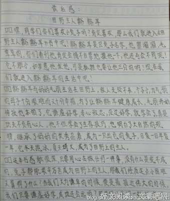 《Spring in Action（中文版）》读后感精选10篇