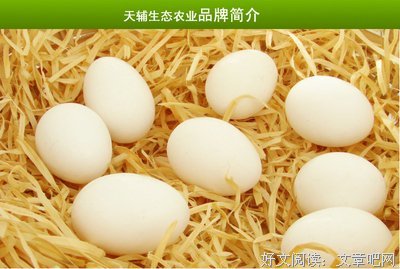 高翔的语句摘抄_关于高翔的语句