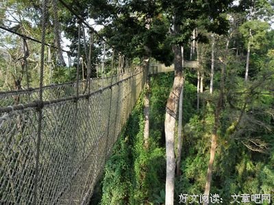 《一路向南》经典观后感集