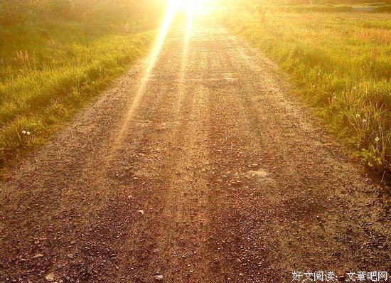 汤兰兰案：其实我希望这是假的。