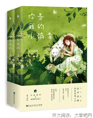 20180206言情更新书单