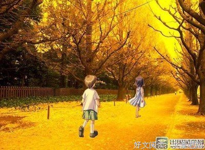 《哈佛琐记》读后感10篇