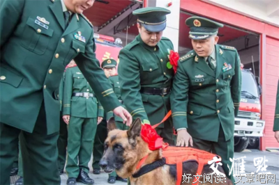 让一年的挂念变成陪伴