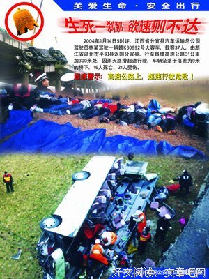 关于大毛的名言