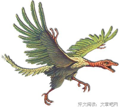 14岁的女儿和男友开房被父亲打折尾椎骨，父亲错了？