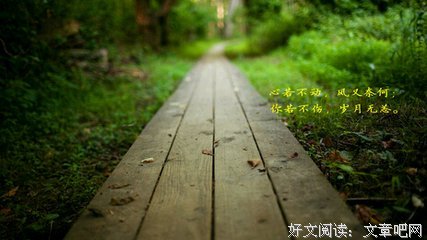 关于冷酷无情的唯美语录