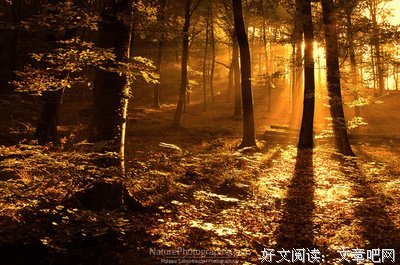 《水与火的缠绵》经典读后感10篇