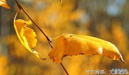 垂垂的句子