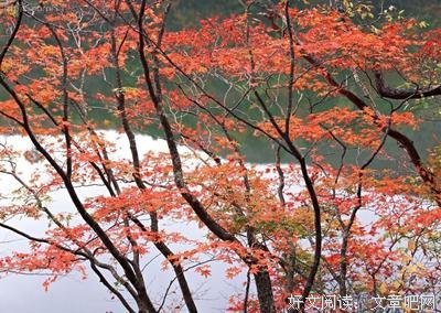 《睡眠十律》影评精选10篇