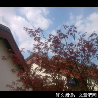 有关亿劫的美文美句摘抄