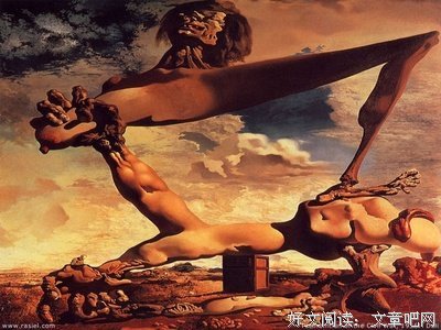 《萨尔瓦多》经典影评集