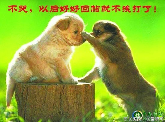最经典的《变形计》经典句子