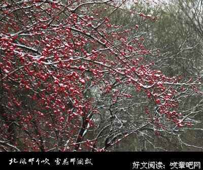 《雪花那个飘》好看吗？经典观后感10篇