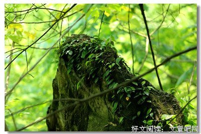 智慧的美丽，不会被岁月夺走光芒!