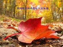 朗诵：世间所有的美好，都不该被辜负