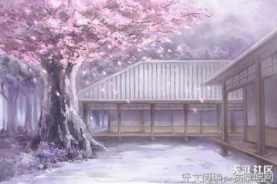 静静的等待春暖花开