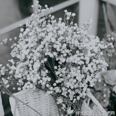 最新的《素年锦时》经典语录大全