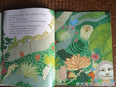《忧郁的热带》的读后感10篇