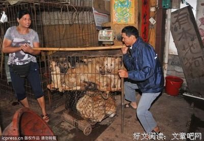 《事事本无碍》读后感10篇