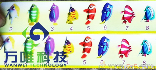 《大三元》经典观后感集