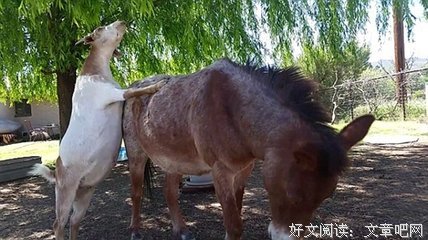 《中国站起来》经典读后感10篇