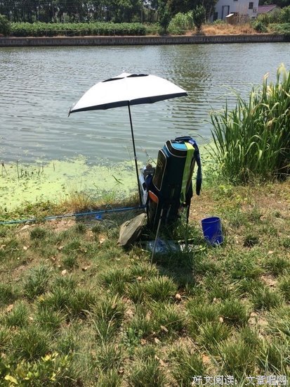 第800次退隐江湖