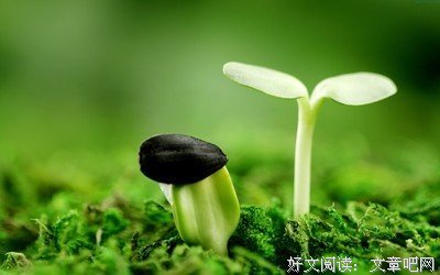 她开始学习中医，是因为爱你