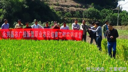 认识你真好：安静中得力（上）