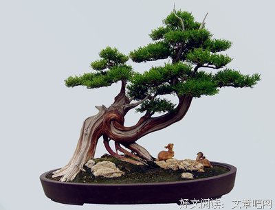 最全的《微信》好段摘抄