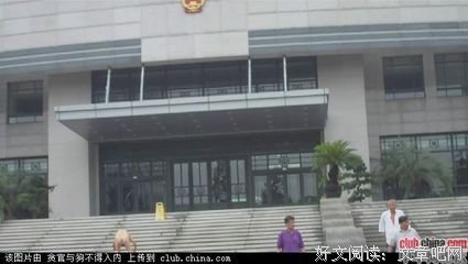 朱金娣：母亲和小黄狗 | 就读这篇