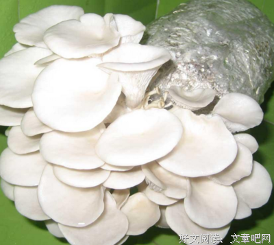 千万别秒回他的微信！