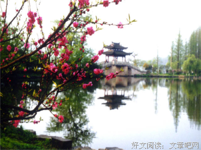 花红柳绿逢春分