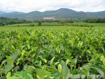一个农村妇女主任讲述：组合家庭的那些事